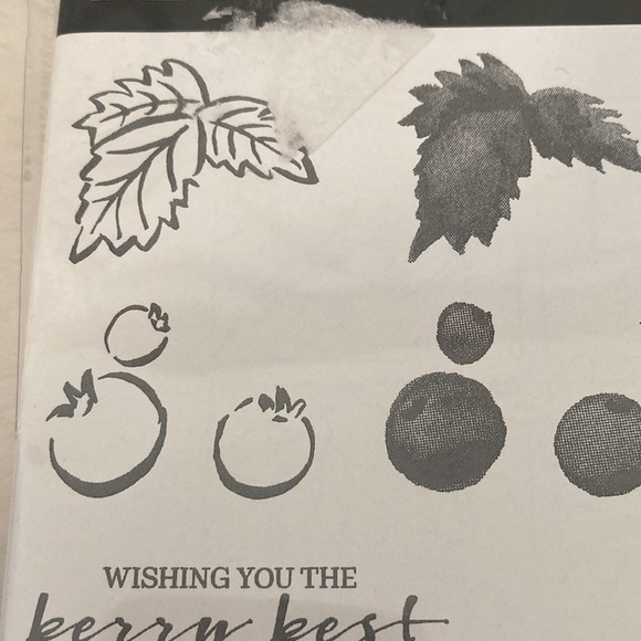 Stampin’ Up Berry Blessing Stamp Set - Picture 4 of 9